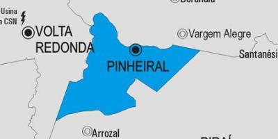 Карта на општина Pinheiral