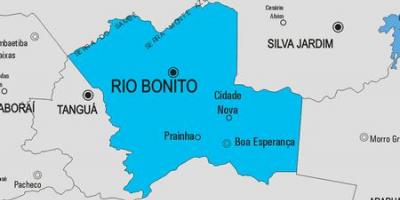 Карта на Рио das Флорес општината